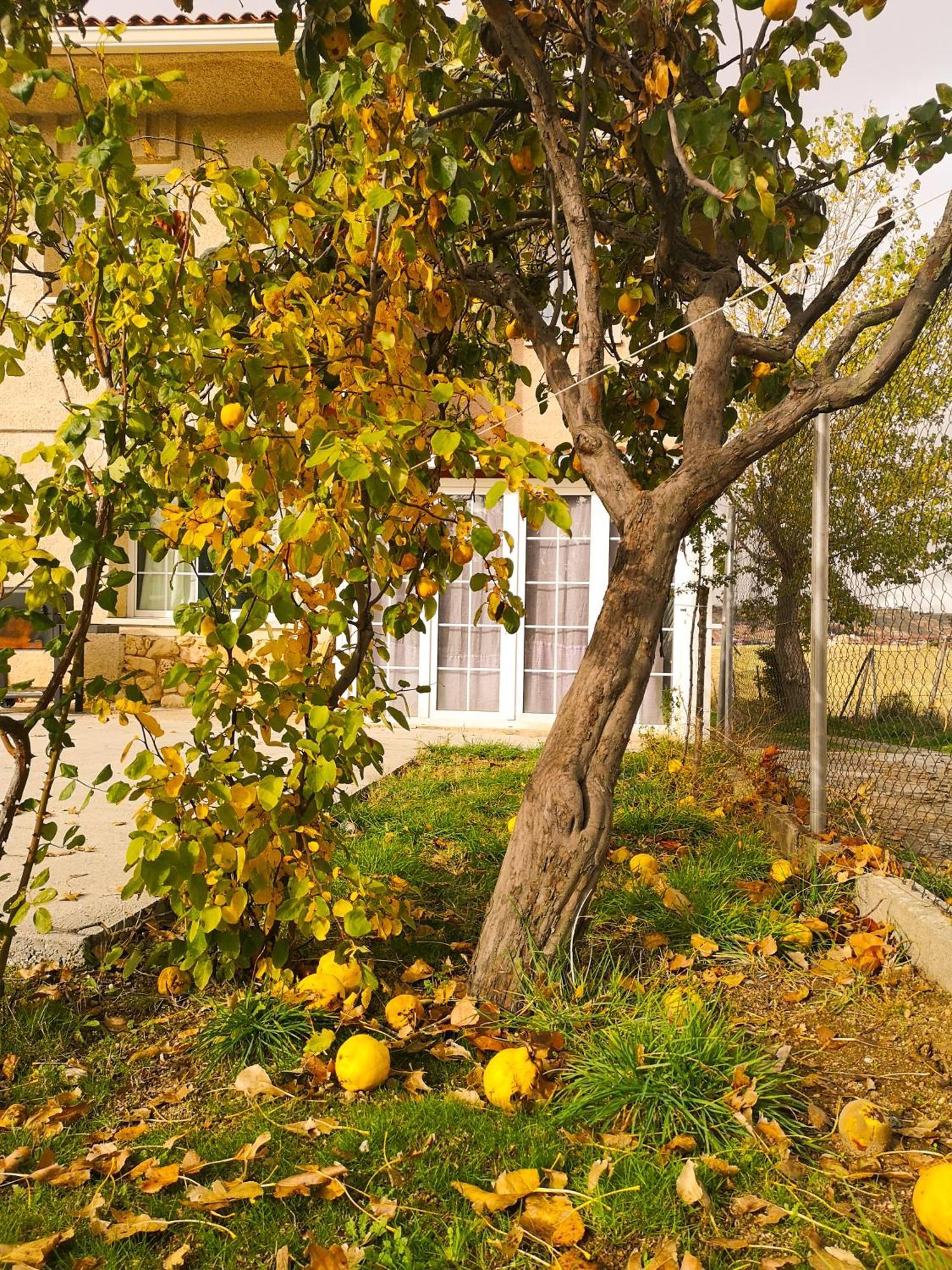 San Cristóbal de Segovia Agradable Casa Con Jardin: Casasolaヴィラ エクステリア 写真